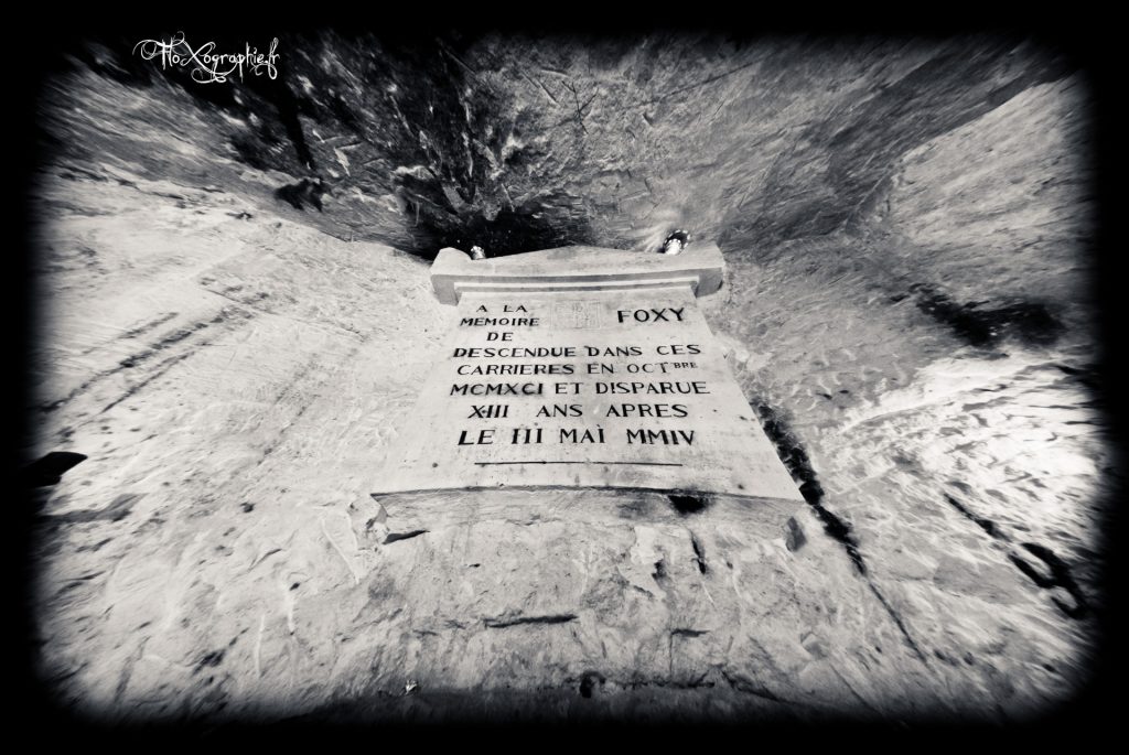 In Memory Of FOXY