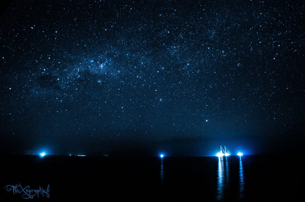 Maldivian Blue Night