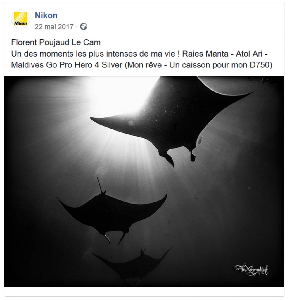 Nikon - UnderWater Photography